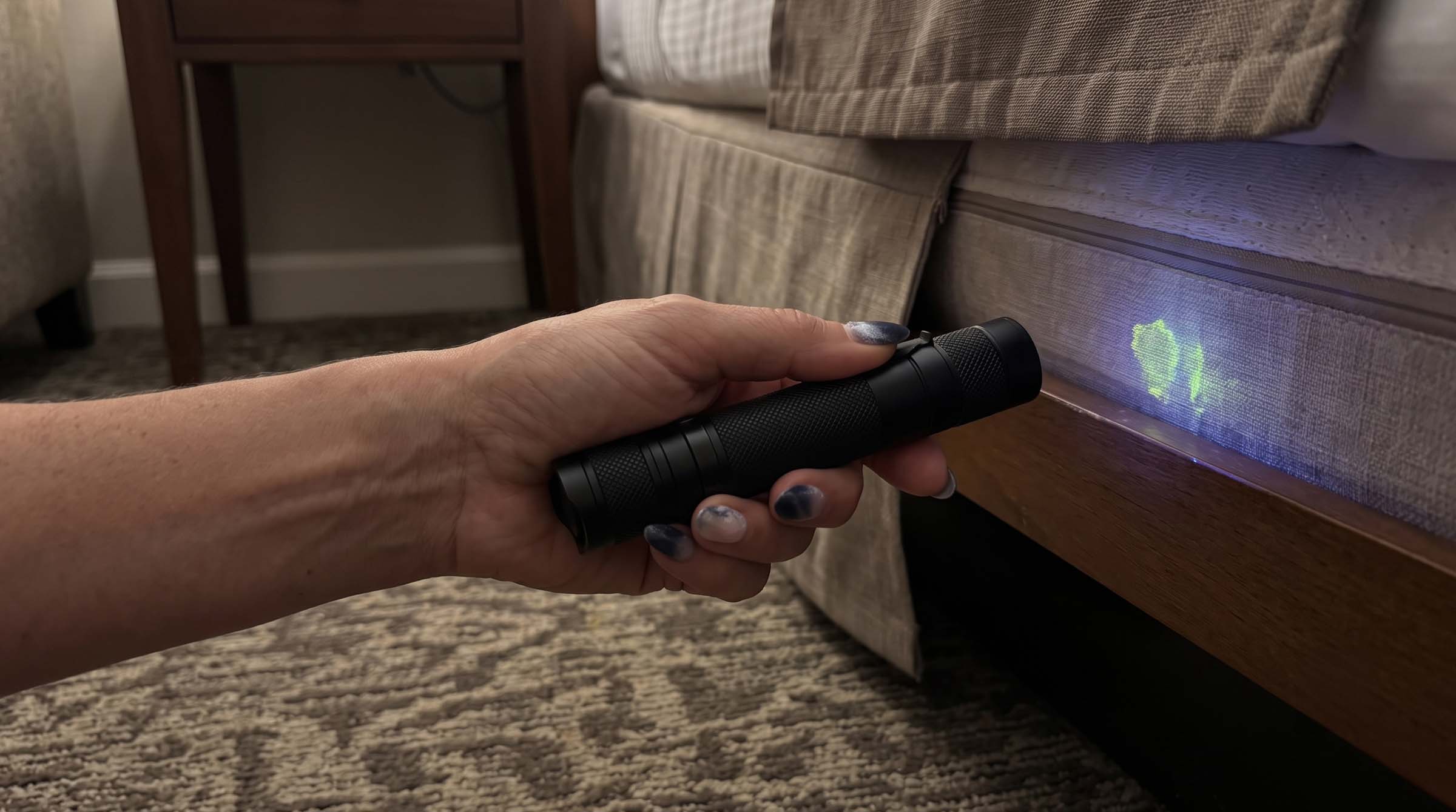 Best Compact 365nm UV Flashlight for Pet Stains, Hotels, and Home Inspection